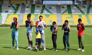 boxeo ds